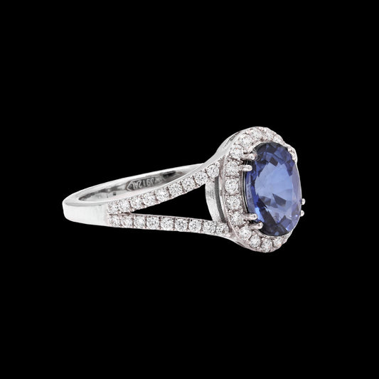 Midnight Sparkle: A Vision in Sapphire